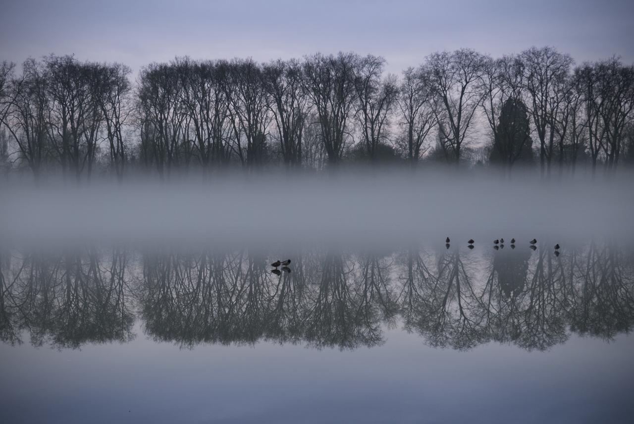 Bed In Versailles - Villa De La Piece D'Eau Des Suisses Εξωτερικό φωτογραφία
